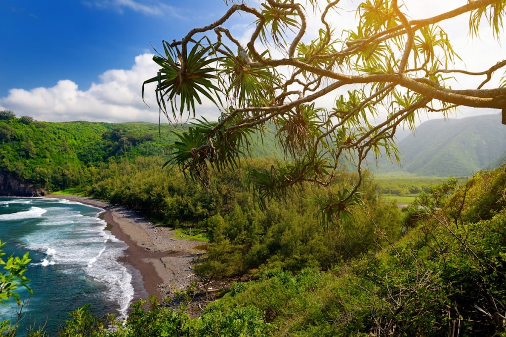 dreamytowns-hawi-GettyImages-1004435246