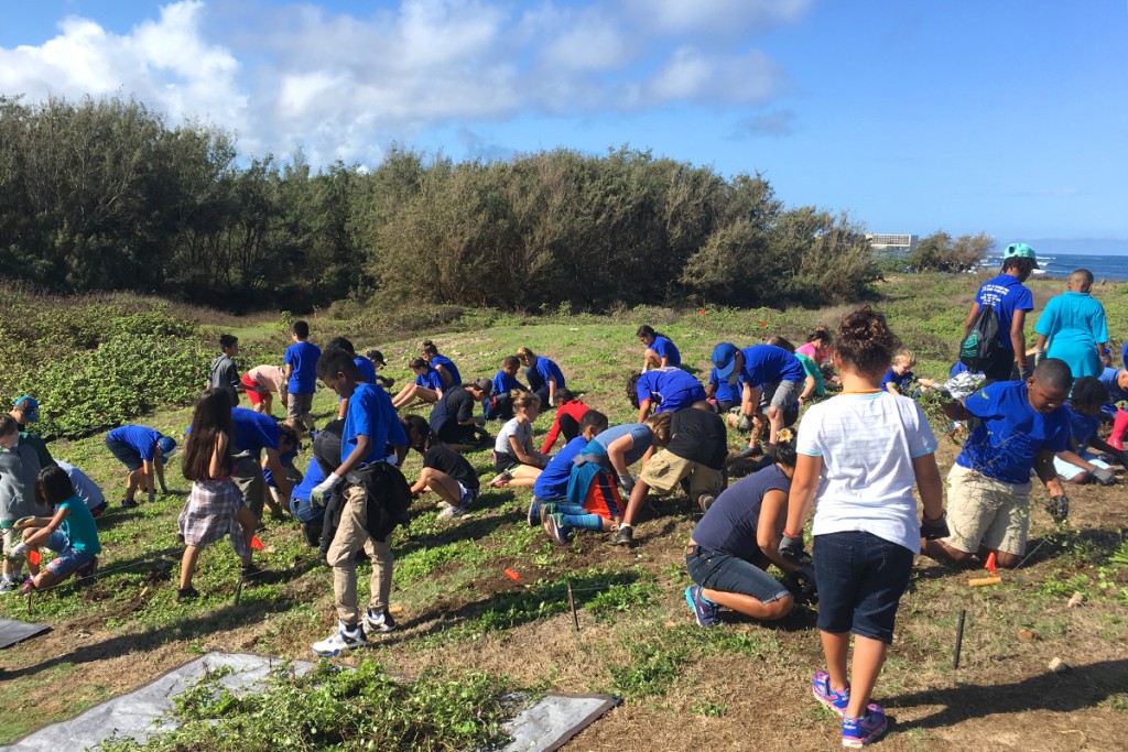 Local Nonprofits Receive $1.4 Million in Grants for Hawaii's Coastal