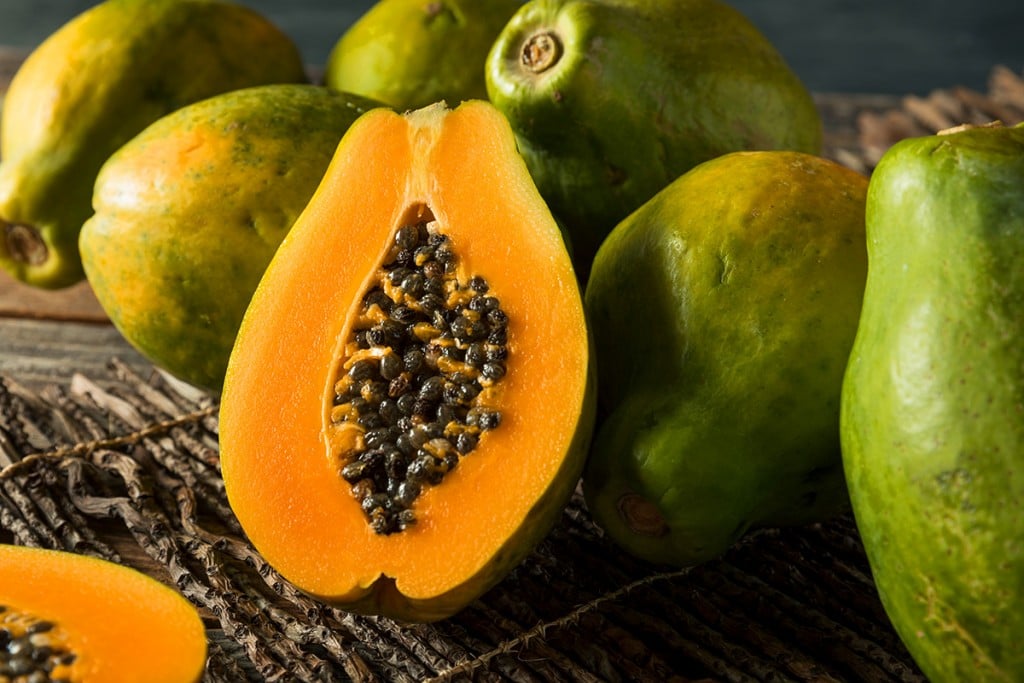 papaya