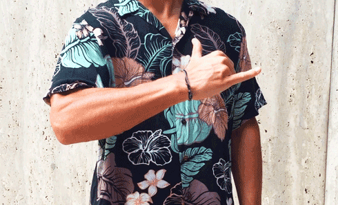 hawaiian shaka