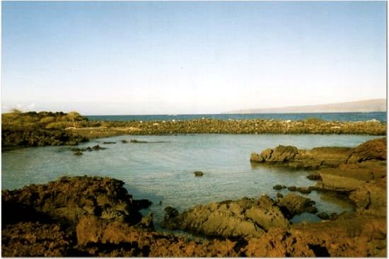 the-famed-fishbowl-snorkeling