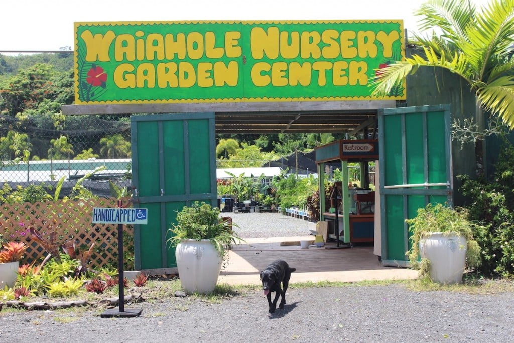 Waiahole Nursery & Garden Center