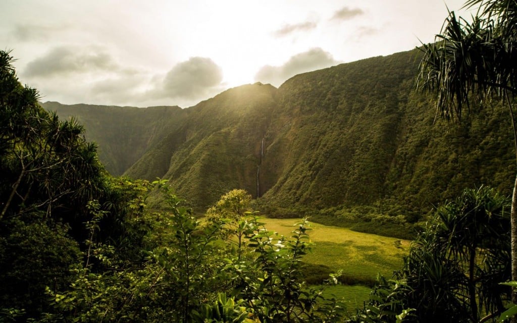 waimanu valley