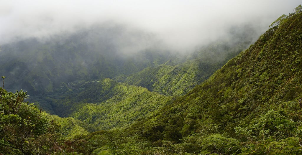 VIDEO: “Untouched Hawaii”: Wainiha Valley Preserve on Kauai - Hawaii ...