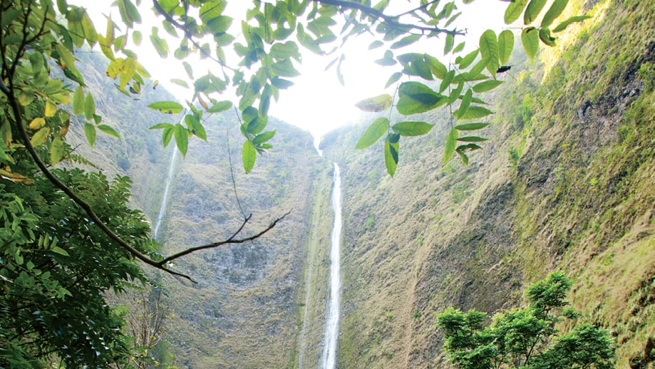 waipio valley hawaii island