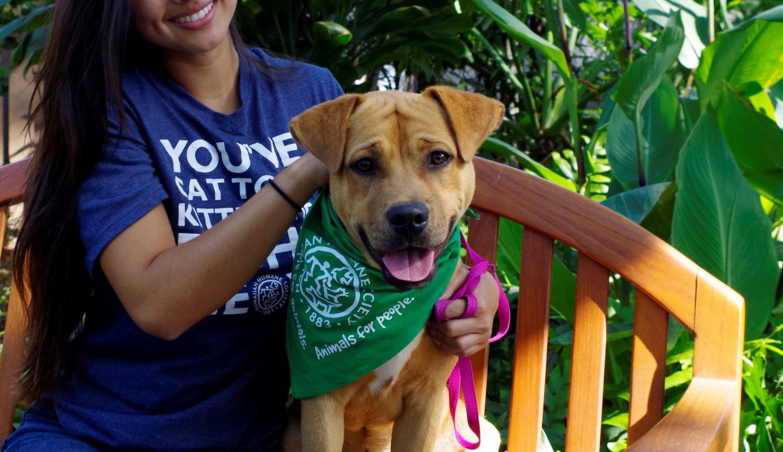Presents Dog Bandana