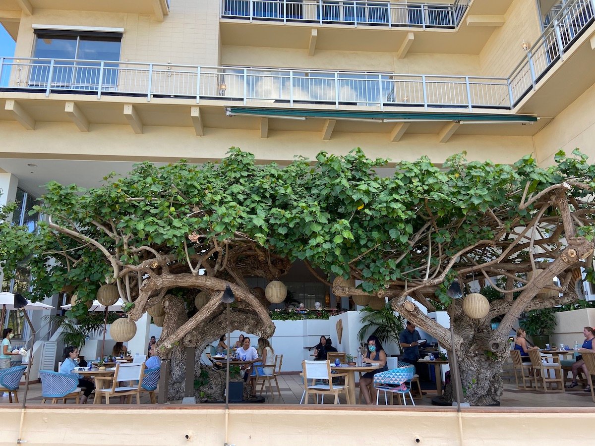The Beloved Hau Tree Restaurant on Oʻahu Gets a New Look and Menu Hawaii Magazine