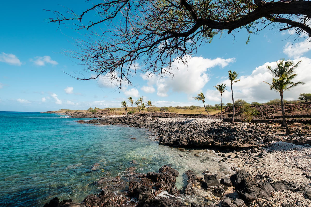 Learn Ancient Hawaiian History Along the Sparkling Coast of Lapakahi ...