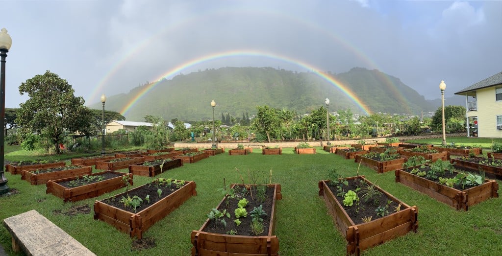 See More Gardens in Honolulu with This New Project Hawaii Magazine