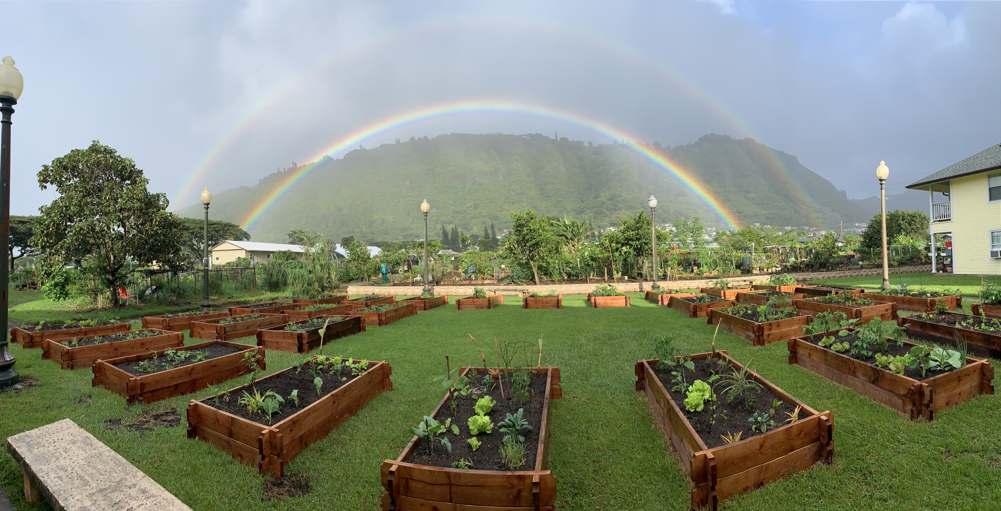 Manoa Garden Rainbow 1 2048x1046 