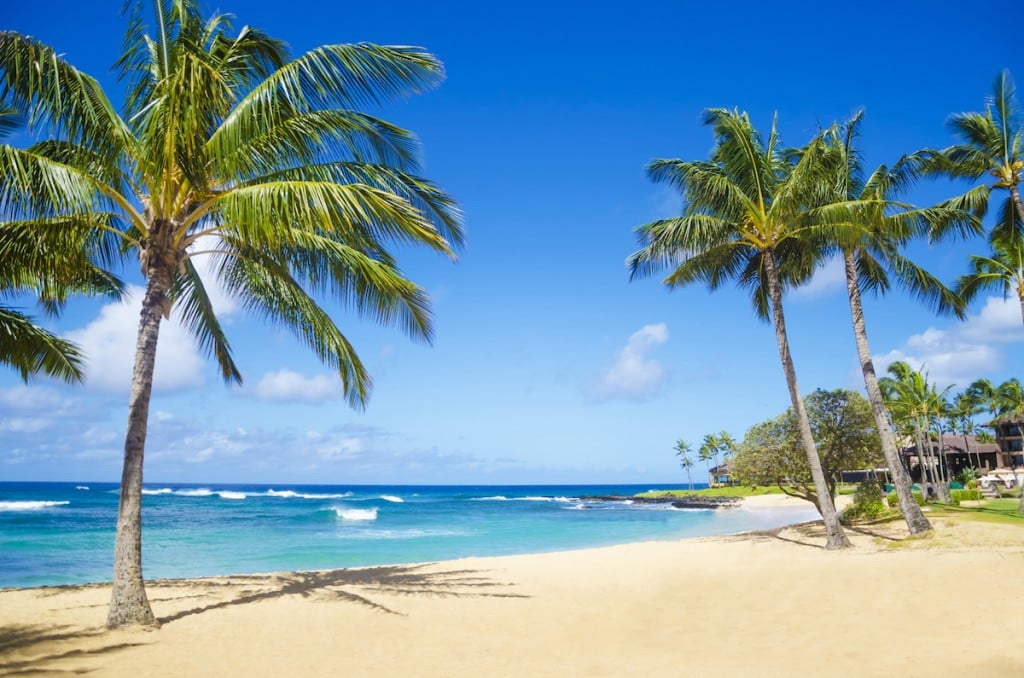 Hawaiian Beach With People