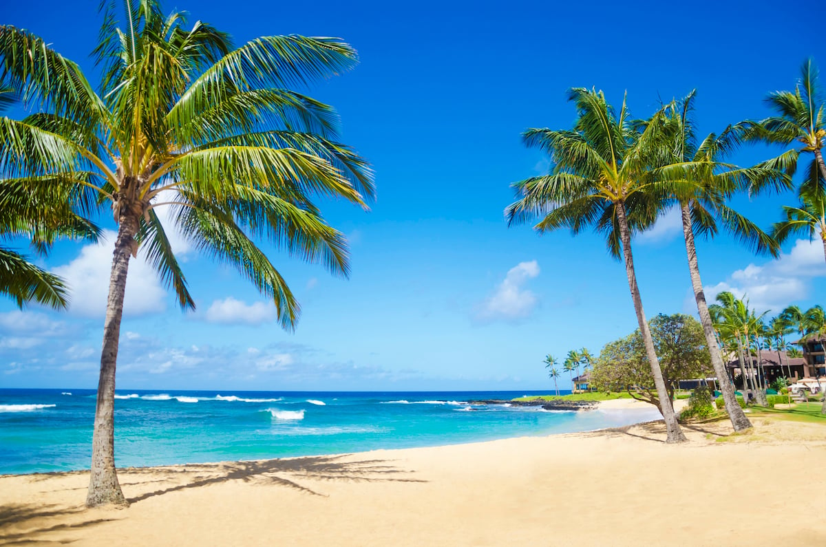 hawaii tourist beaches