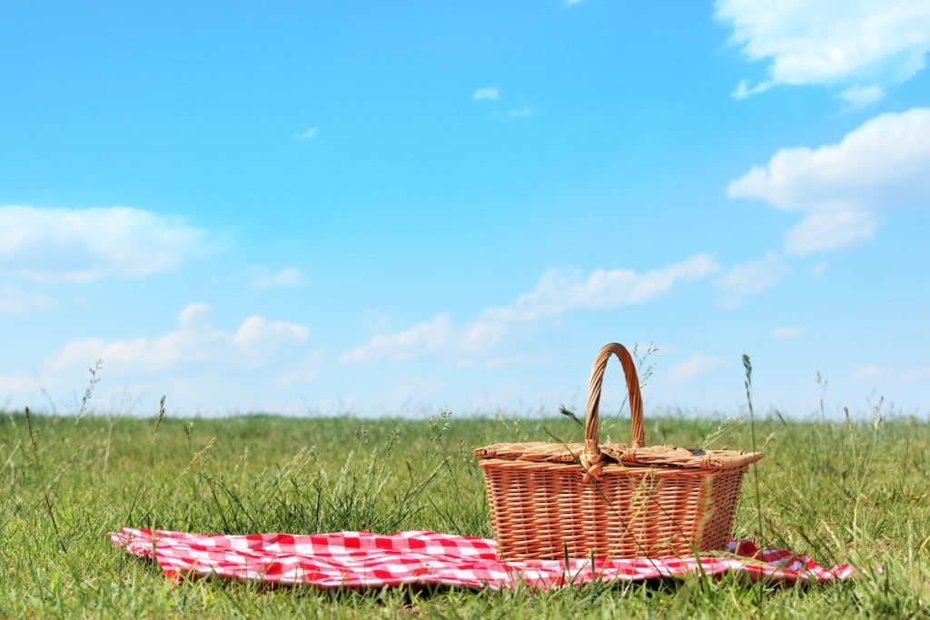 Picnic Sheet With A Basket And Grass And Sunny Skies