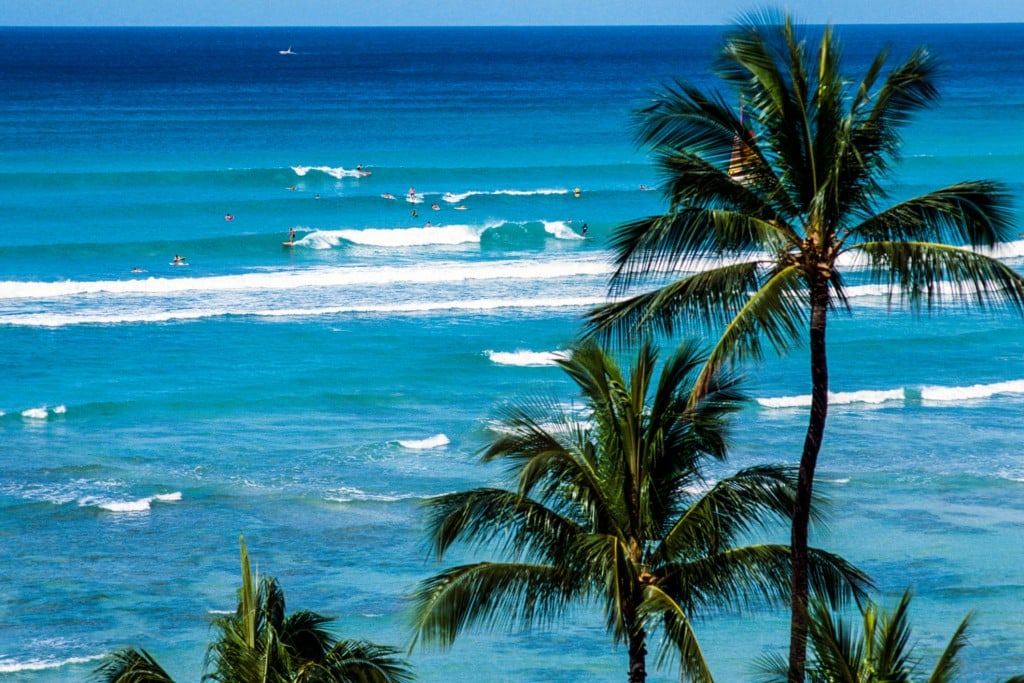 Surfing At Waikiki