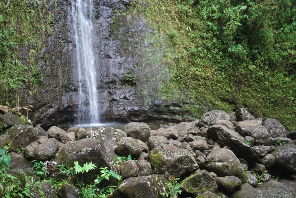 Manoa Fall In Oahu, Hawaii.