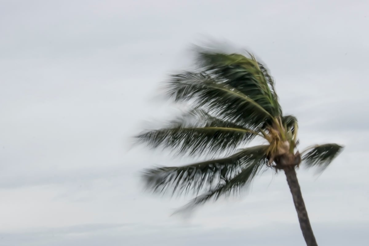 Everything You Need To Know About Hurricane Season in Hawaiʻi Hawaii