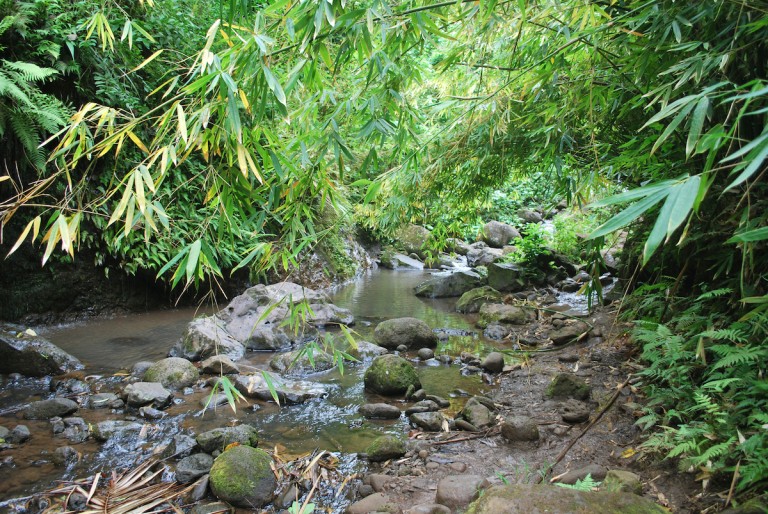 Maunawili Falls Trail on Oʻahu Closed Today For Two Years - Hawaii Magazine