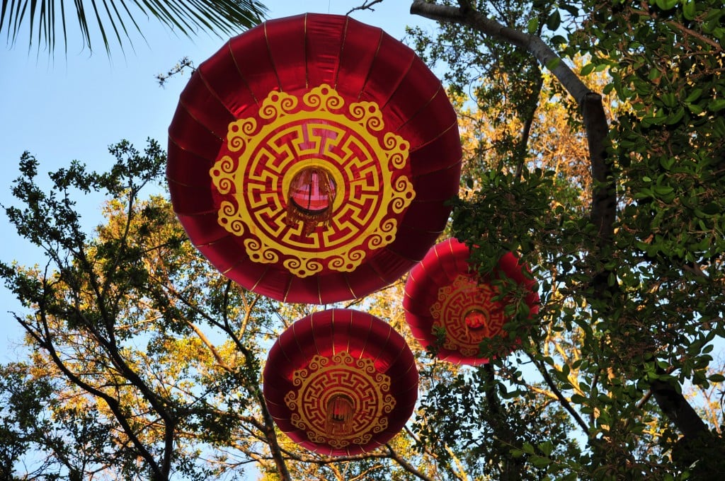 Chinese New Year Lanterns Decorations Hanging On A Tree In Hawaii