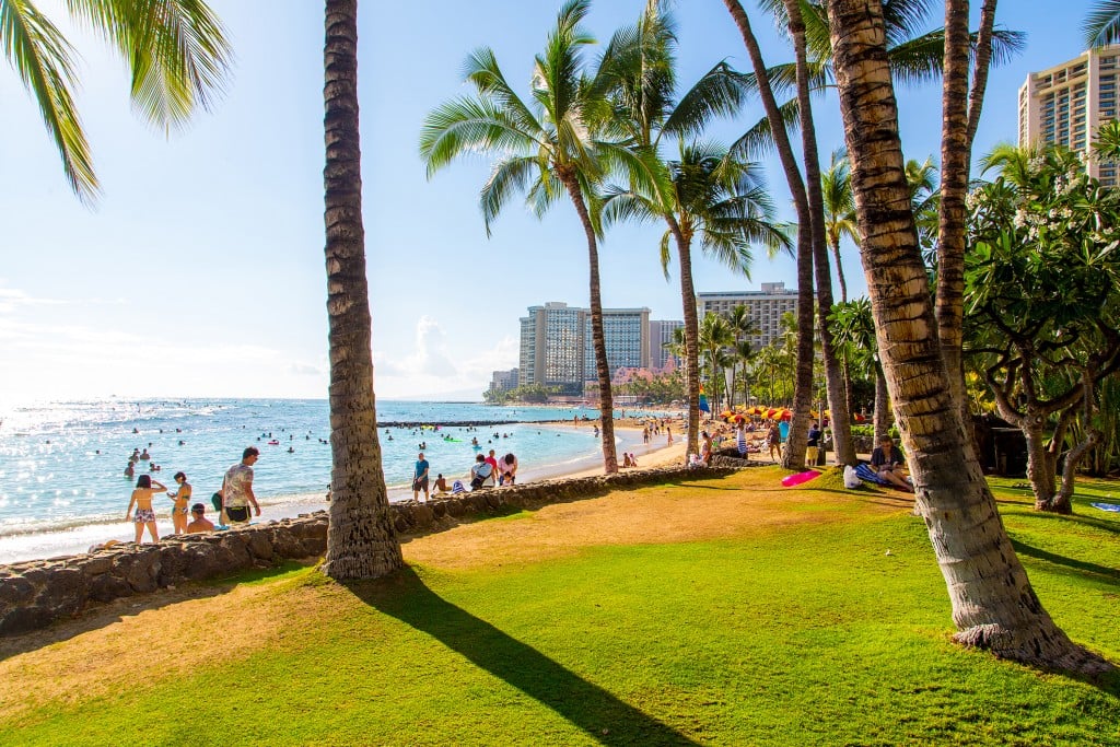 Beautiful Park Near Waikiki Beach In Honolulu