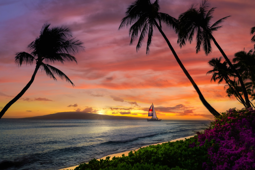 Maui voted favorite island