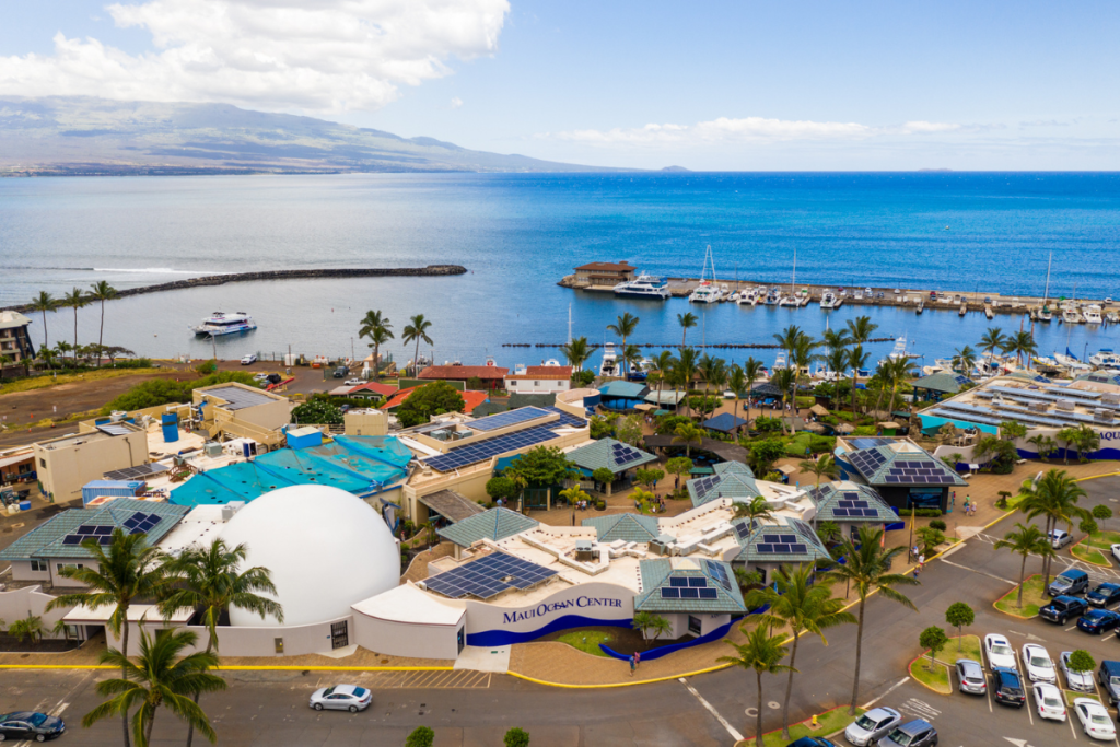 Maui Ocean Center World Oceans Day