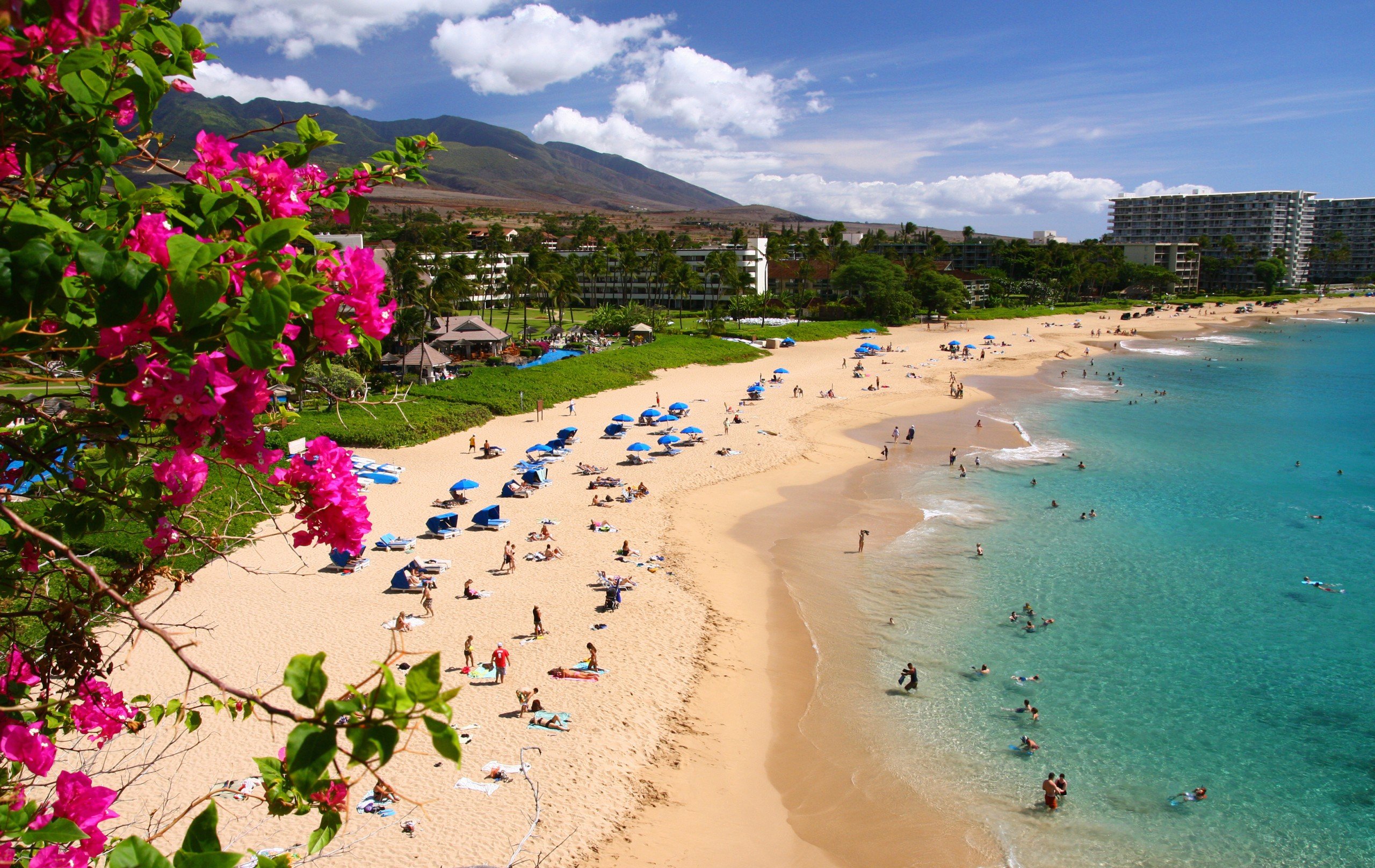 Best of Maui 2022: Outdoor Adventures - Hawaii Magazine