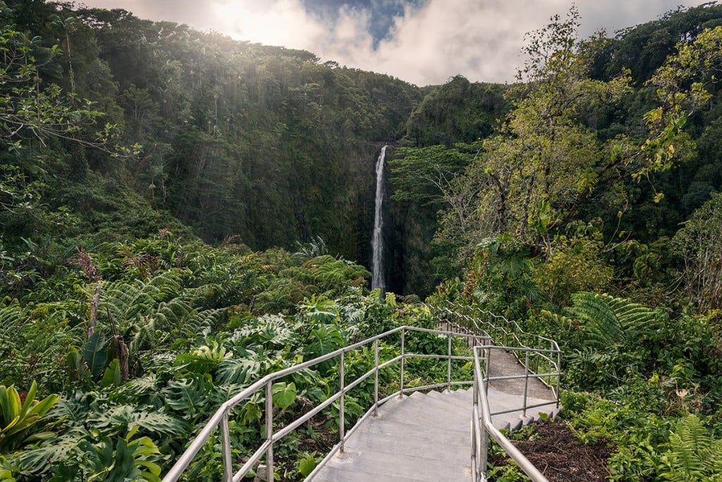 Hawaii Island Akaka Falls State Park, Hawaii