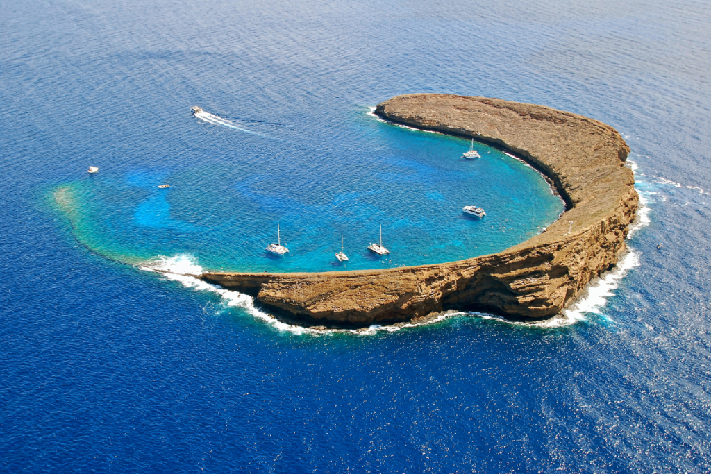 Molokini Snorkeling In Maui