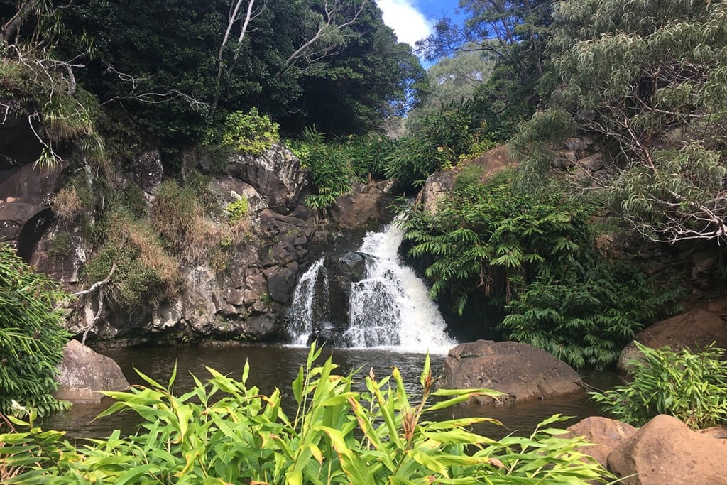Waimea Canyon Waterfall At Canyon Trail In Kauai