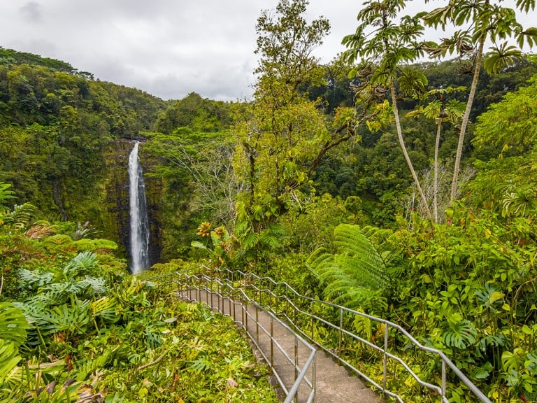 Your Guide to ʻAkaka Falls State Park on Hawaiʻi Island - Hawaii Magazine