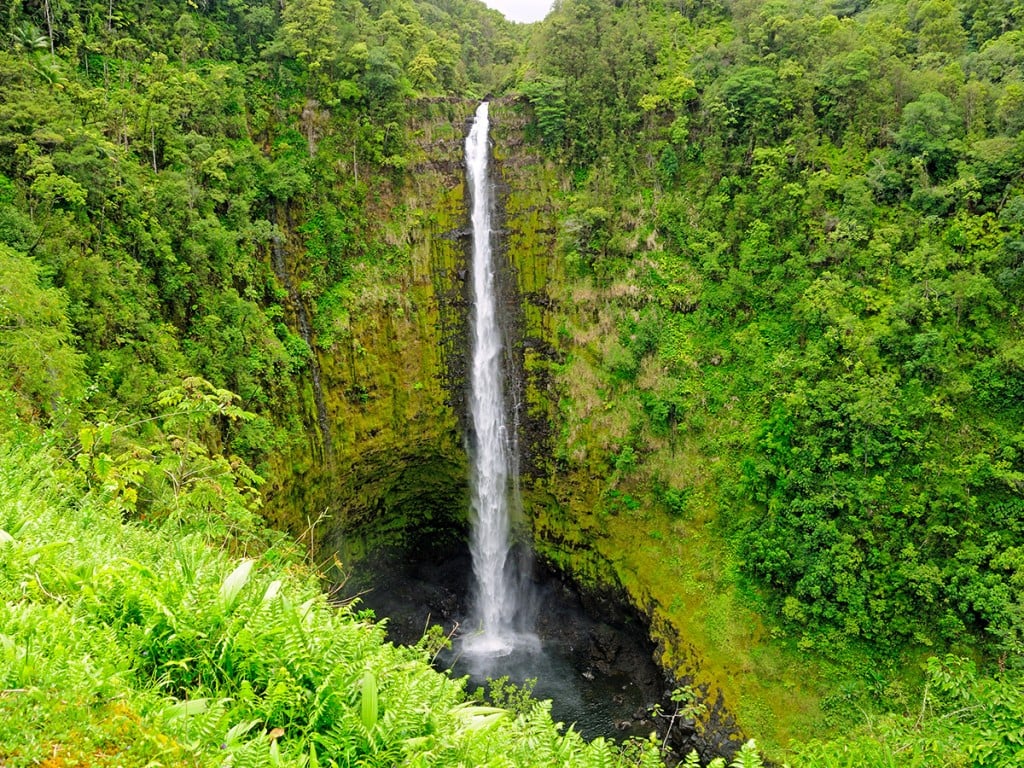 Waterfall In A Tropical Rain Forest