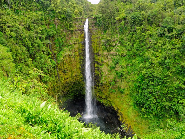 Your Guide to ʻAkaka Falls State Park on Hawaiʻi Island - Hawaii Magazine