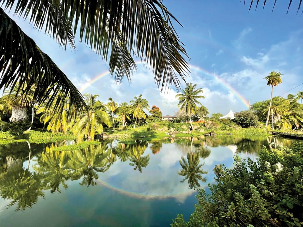 01 Rainbowfishpond Lokoea