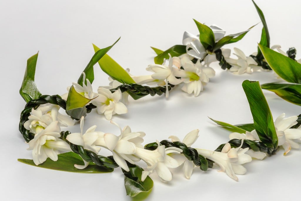 Where to Buy Hawaiian-Made Leis Right Here in Seattle