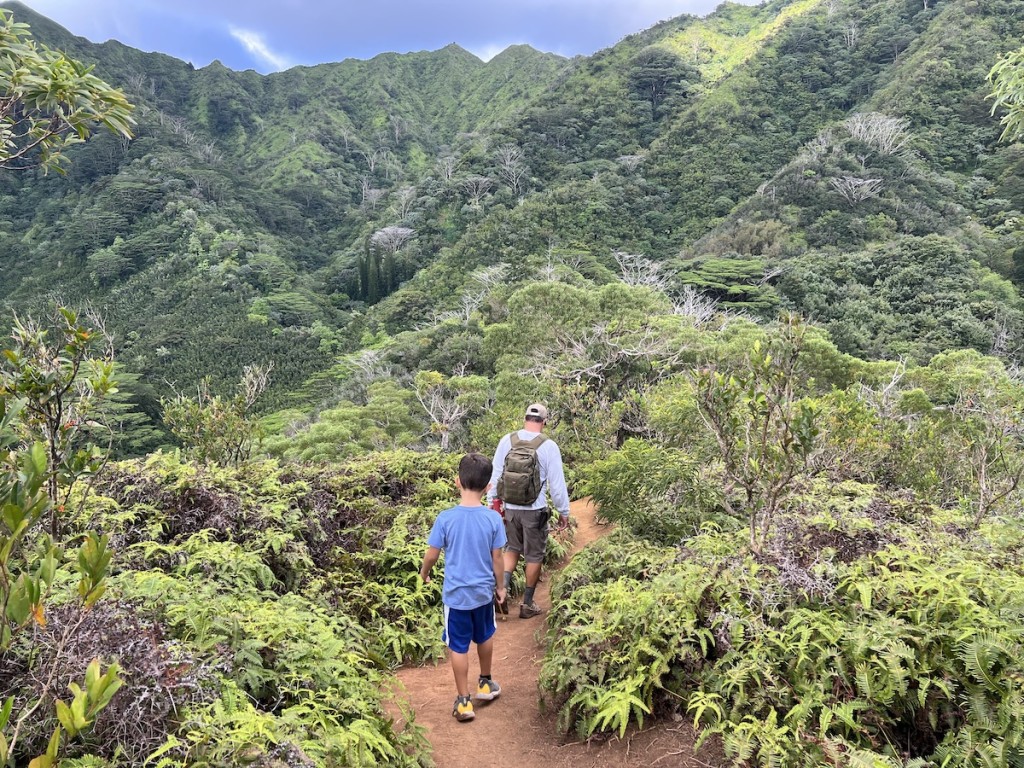 You won't find these Hawaiian hiking trails in a guidebook