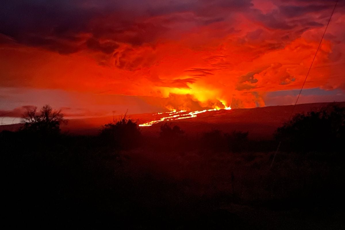 Maunakea'S East Slope Wildland Fire: A Community'S Resilience - 85af0a3