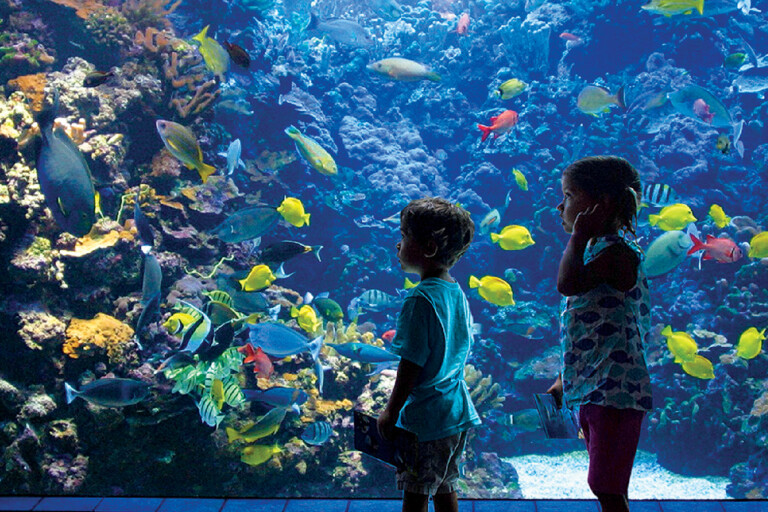 10 Family-Friendly Activities to Do in Hawaiʻi - Hawaii Magazine