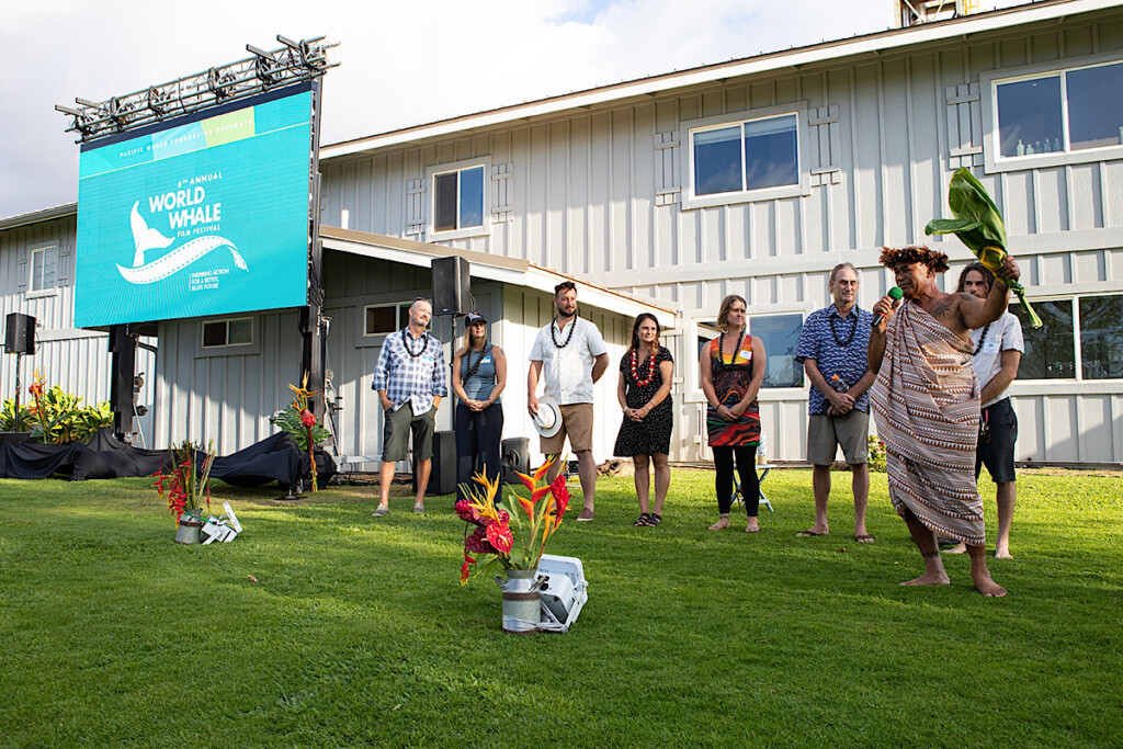 World Whale Film Festival