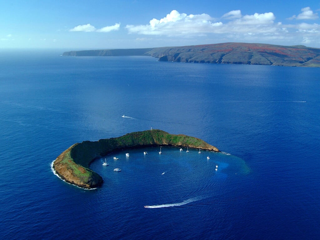 Hi 020113 244 Molokini Island, Maui January 13, 2002