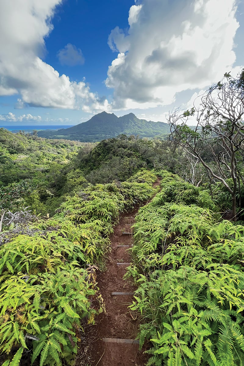 Escape to Maunawili Falls With This Little-Known Trail - Hawaii Magazine