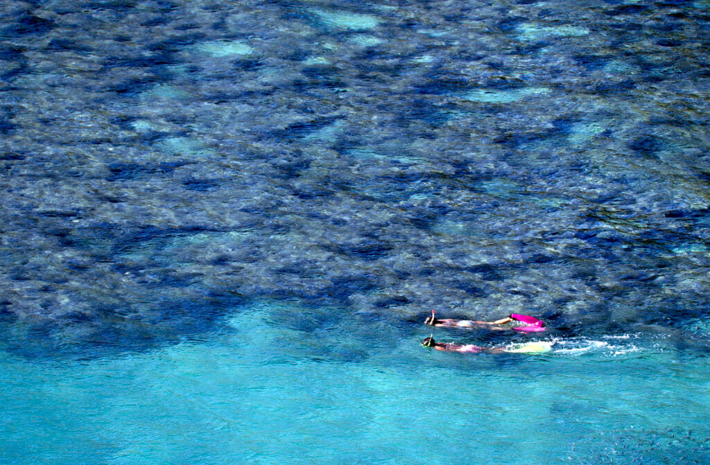 Usa Hawaii O'ahu, Hanauma Bay, Coral Reef.