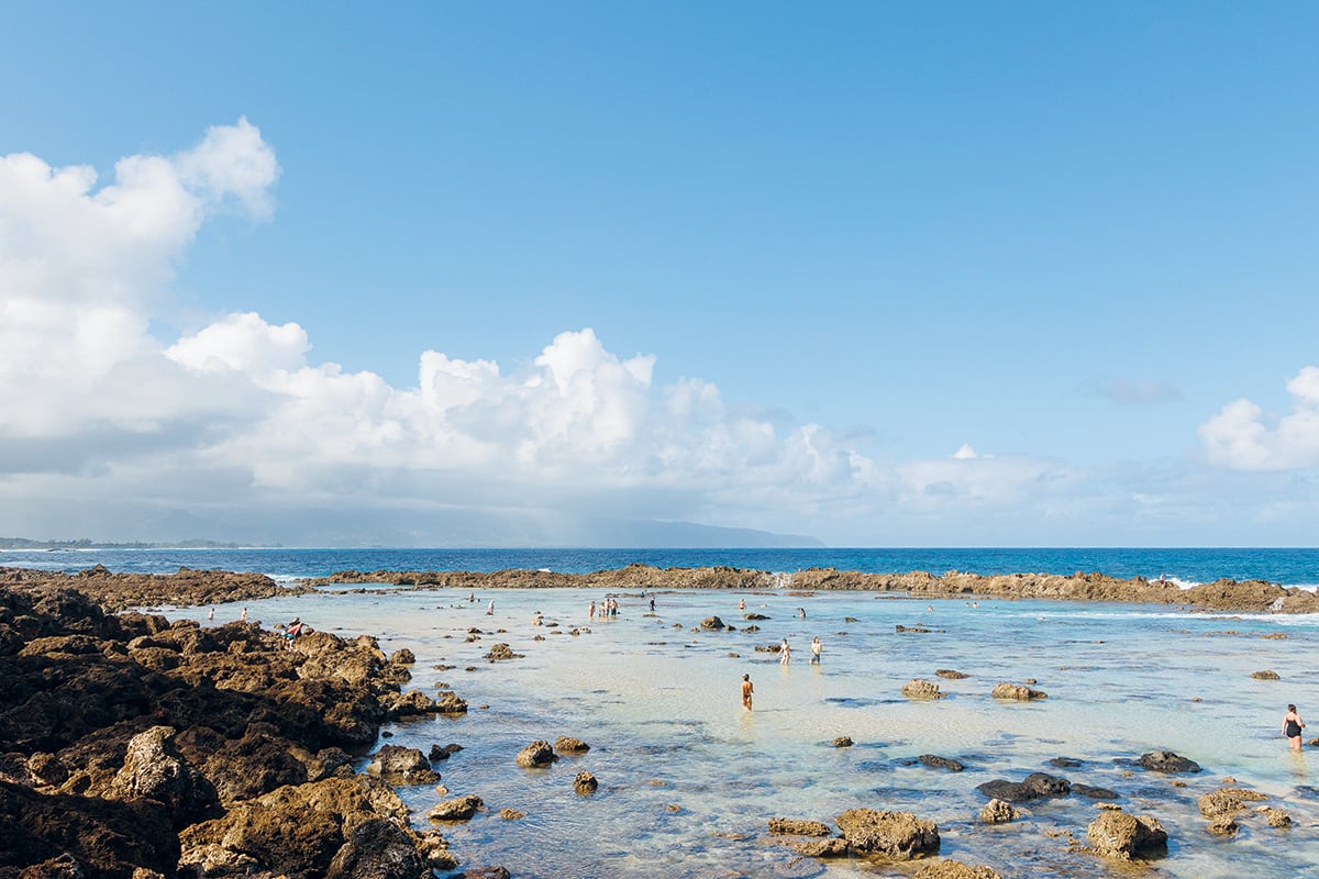 13 Top Things to Do In North Shore Oahu (2024)