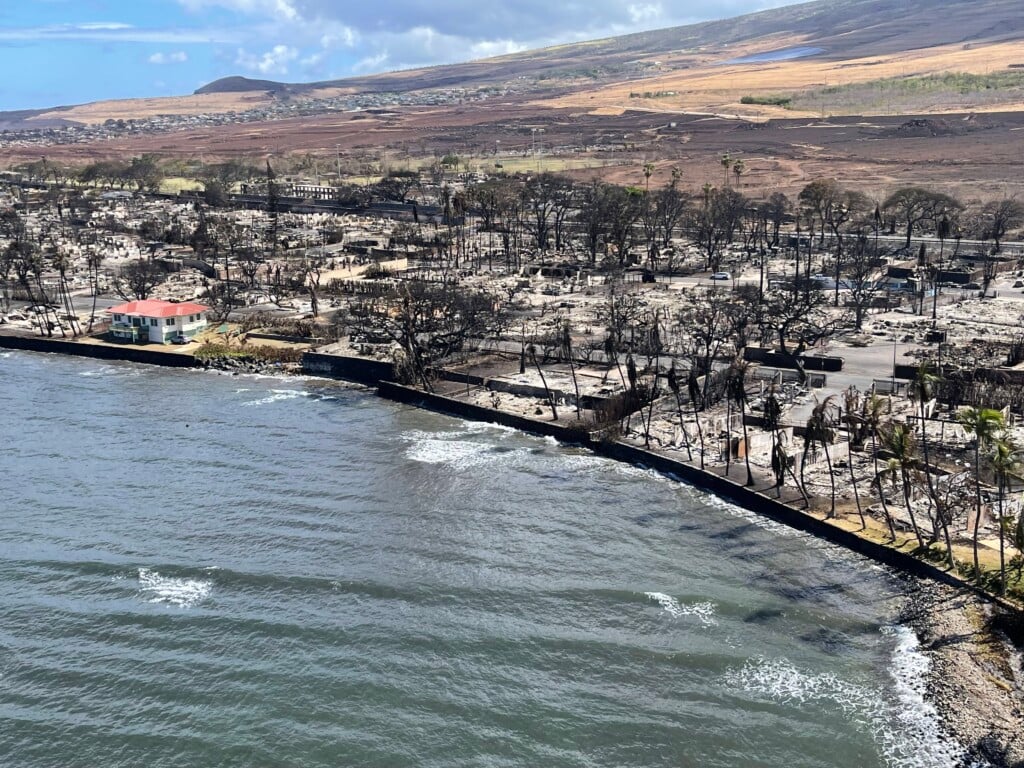 Maui Fires What You Can Do to Help Hawaii Magazine