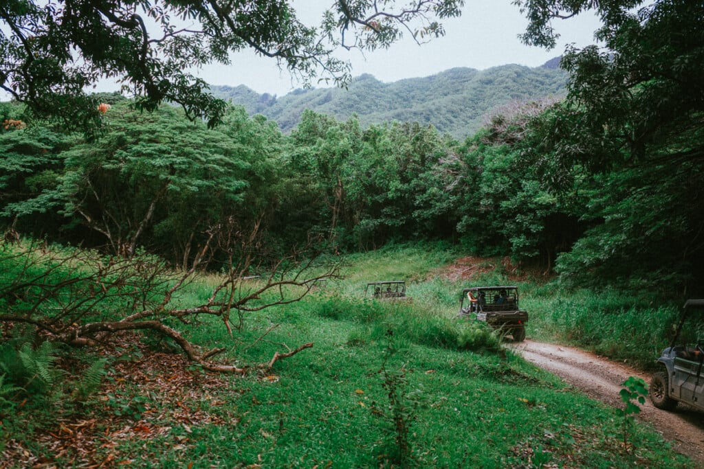 Kualoa Utv Credit Thomas Obungen 06