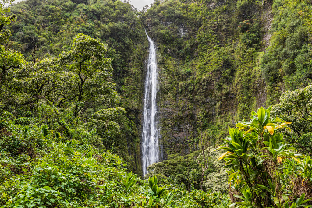 Pipiwai Trail, Maui,