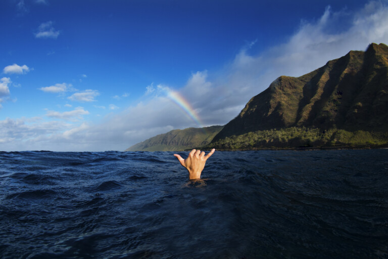 The Shaka Officially Belongs to Hawaiʻi - Hawaii Magazine