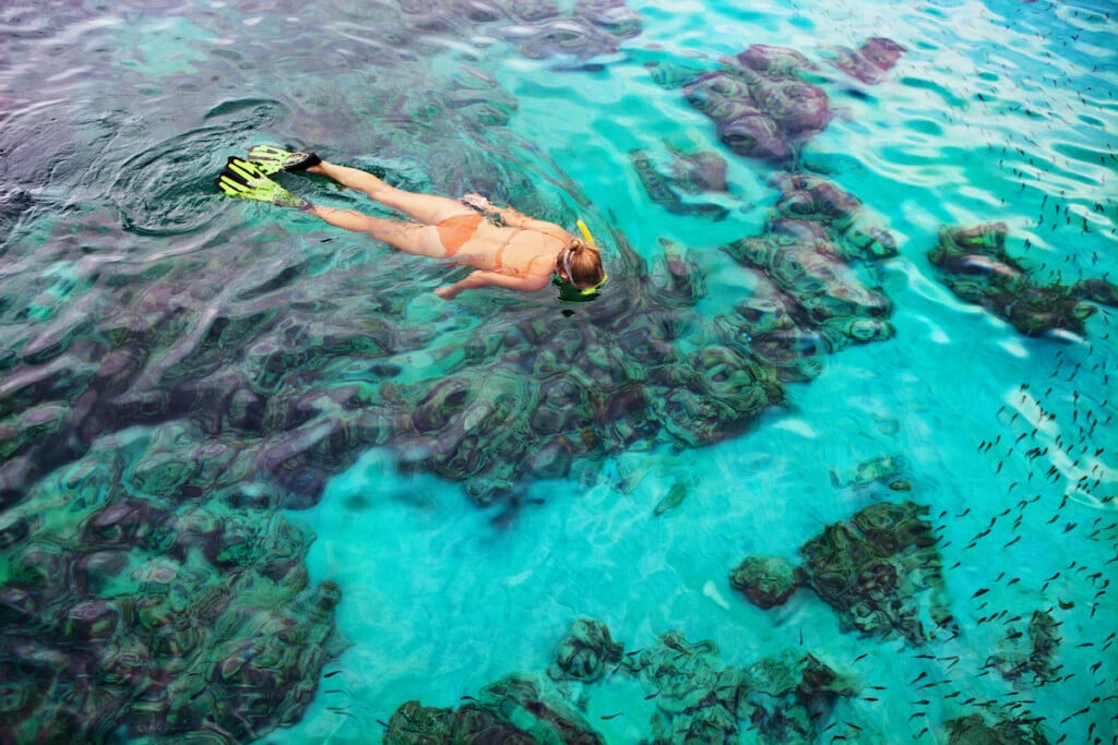 Young Woman Snorkeling With Coral Reef Fishes