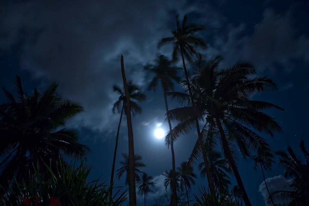 Full Moon Over Coconut Grove