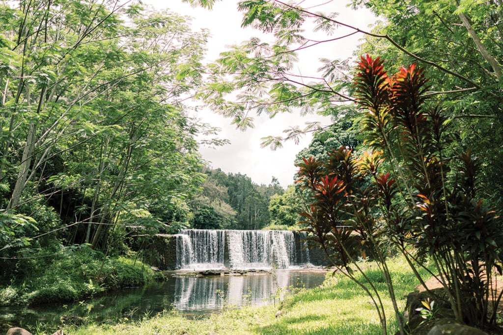 Wai Koa Loop Trail