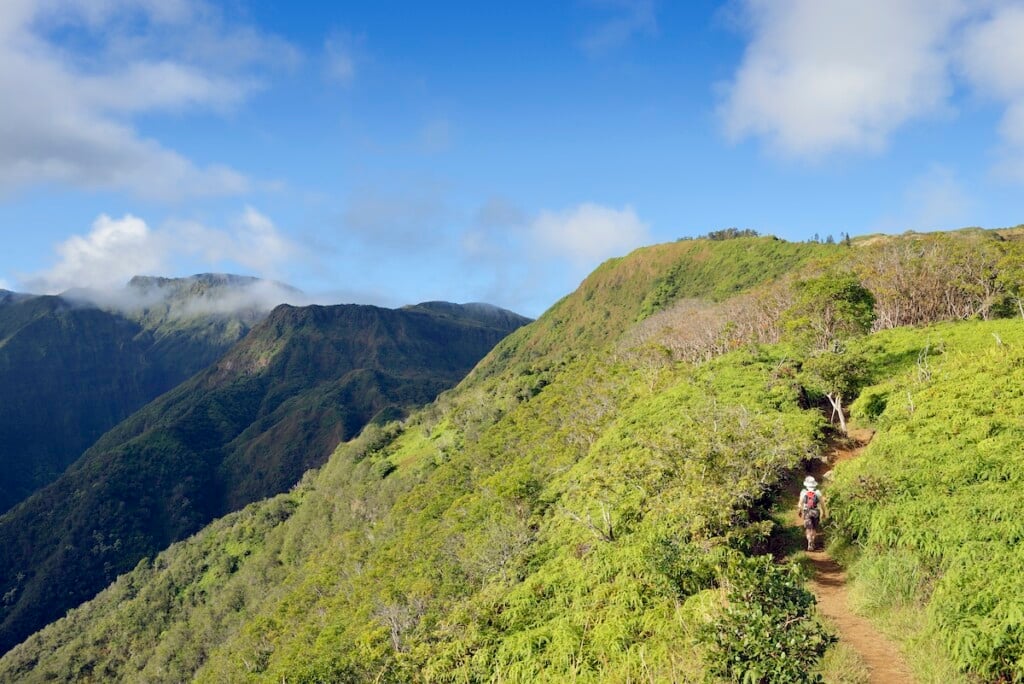 Usa, Hawaii, Maui, Woman Hiking On Waihee Ridge Trail